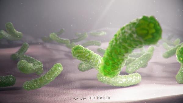 باکتری E Coli در گوشت علت بروز خیلی از عفونت های مجاری ادرار