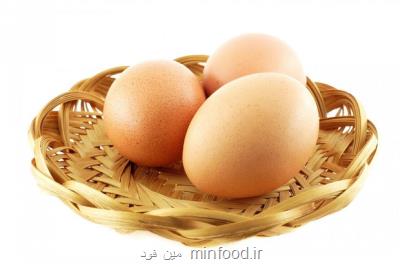 مصرف روزانه تخم مرغ برای سلامت قلب مفید می باشد