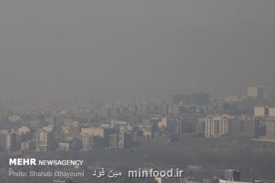سفارش های تغذیه ای وزارت بهداشت برای مقابله با آلودگی هوا