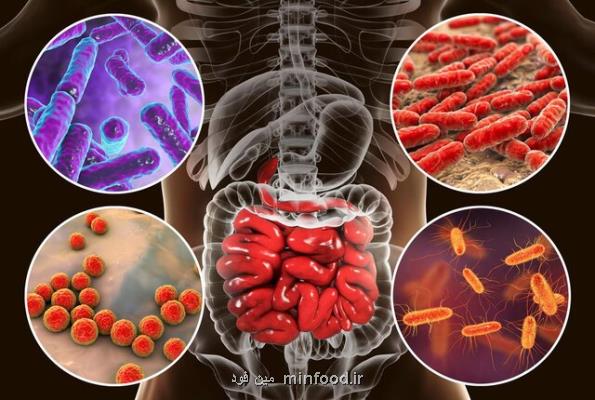 سیگنال های روده و قلب بر چگونگی دیدگاه ما از خود تاثیر دارند