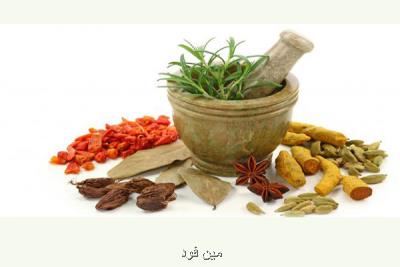 نخستین جلسه مبلغین شهرستان اراک با موضوع طب سنتی و کرونا انجام شد