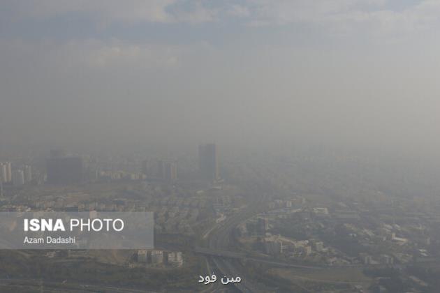 سفارش های تغذیه ای وزارت بهداشت در وضعیت آلودگی هوا