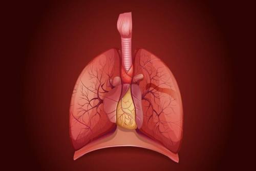 برداشتن غده تیموس پیش زمینه مبتلا شدن به سرطان است