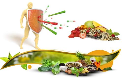تقویت سیستم ایمنی با این ۵ ماده غذایی