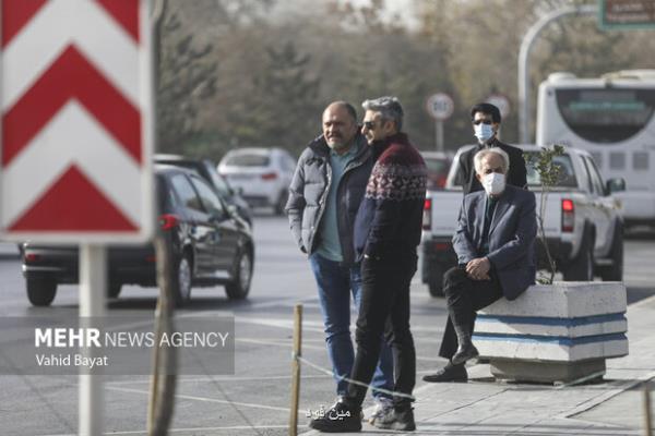 در ایام آلودگی هوا چای سبز و شیر بنوشید