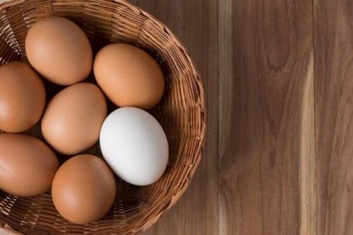 آیا مصرف زرده تخم مرغ برای کهنسالان مضر است