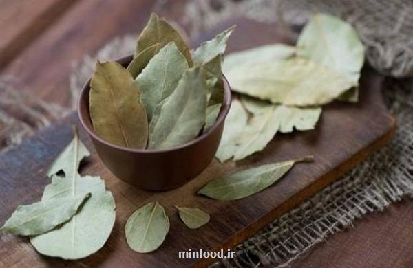 برگ بو این همه خاصیت دارد!