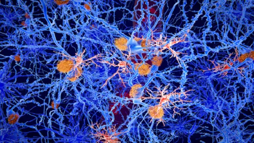 درمانی نوآورانه برای صرع که حافظه را بازیابی و از تشنج جلوگیری می کند