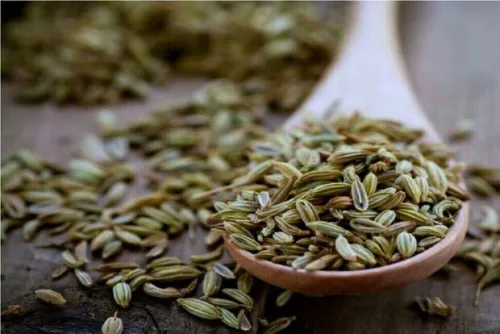آیا رازیانه موجب افزایش شیرمادر می شود
