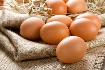افزایش خطر بیماری های قلبی با مصرف روزانه بیشتر از دو تخم مرغ