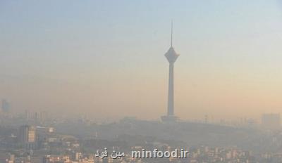 شهرداری تهران در جهت اصلاح طرح كاهش آلودگی هوا اقدام نماید